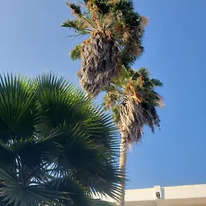 Alojamento de Acomodação e Pequeno-almoço Sea Shell Palms,