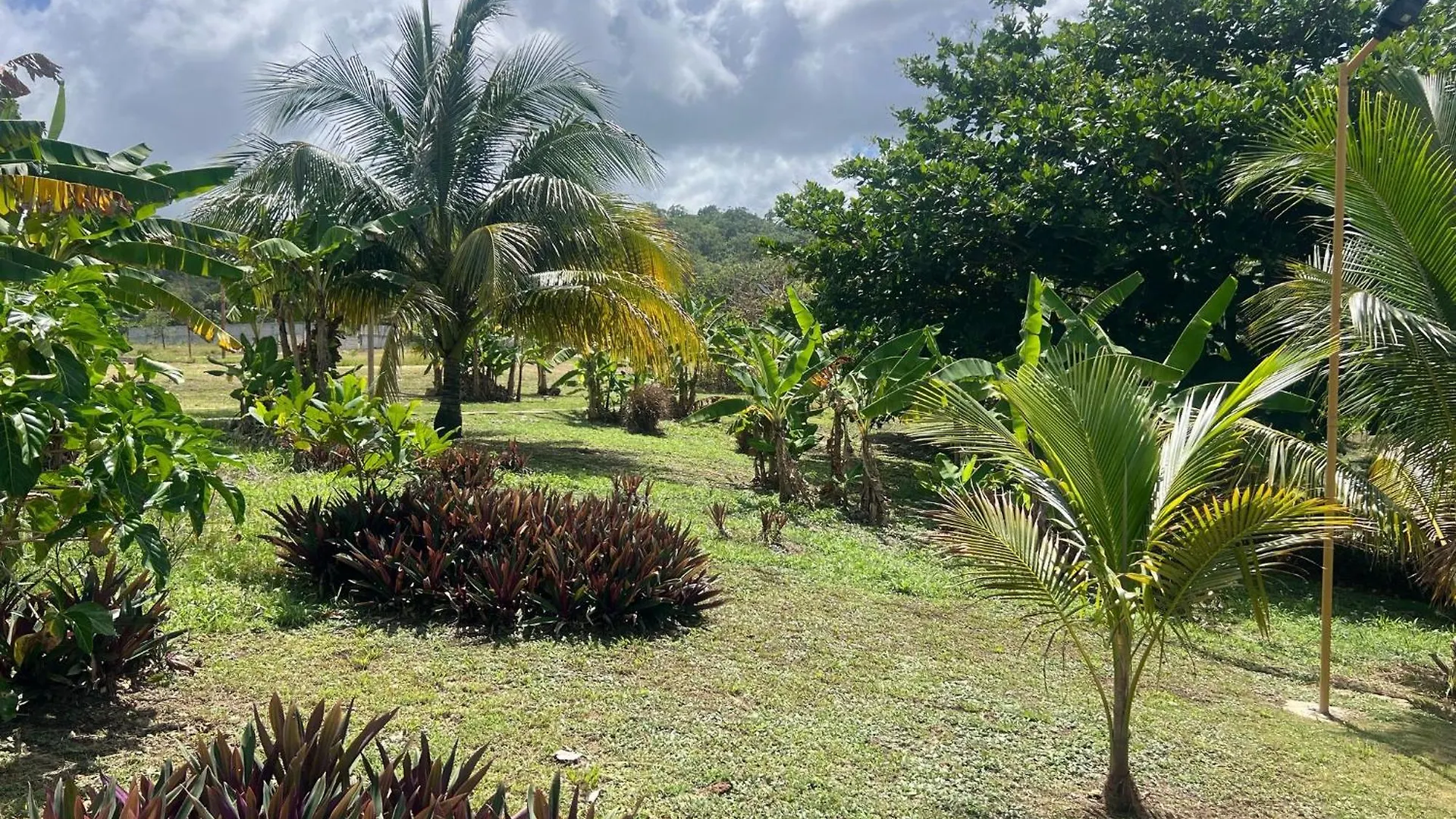 The Sea Cliff Hotel Resort & Spa Port Antonio