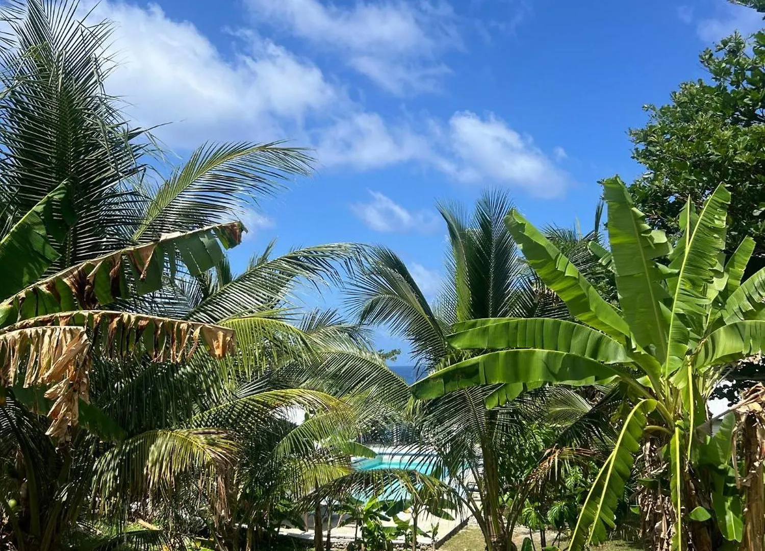 The Sea Cliff Hotel Resort & Spa Port Antonio