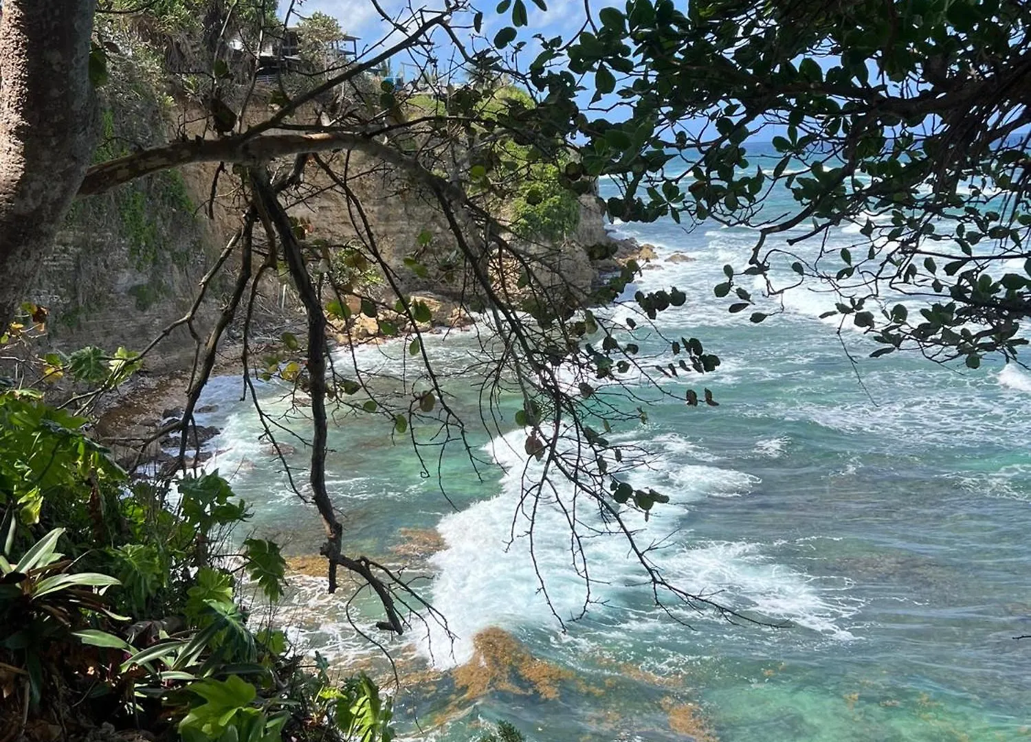 The Sea Cliff Hotel Resort & Spa Port Antonio 4*,  Jamaica
