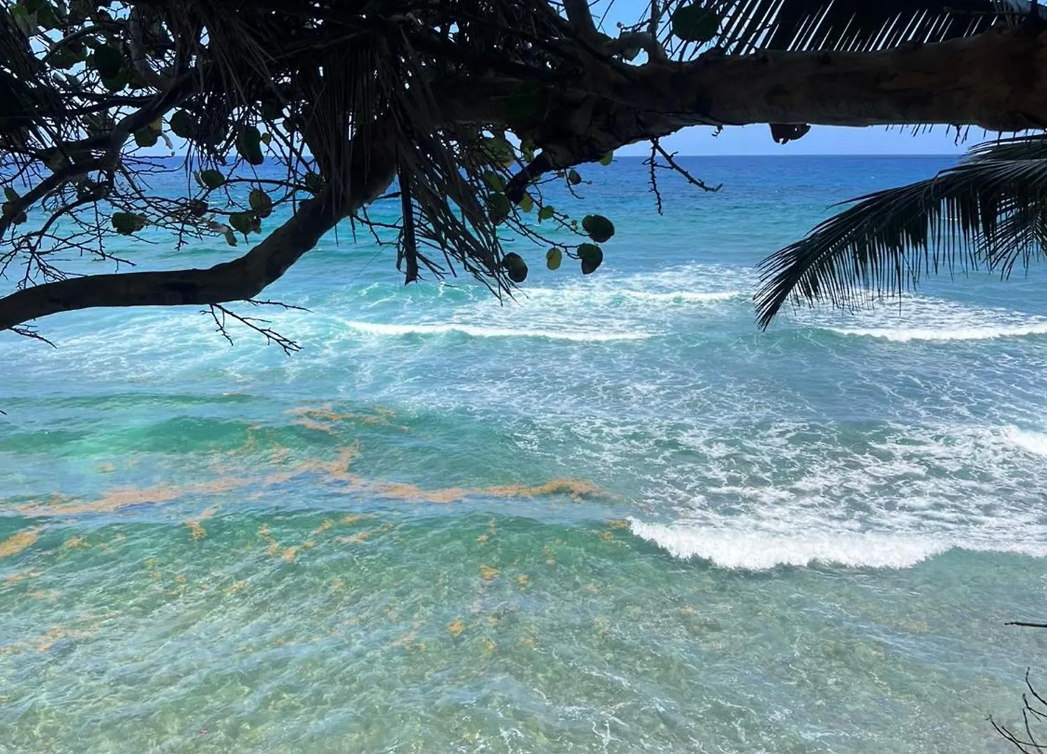 ****  The Sea Cliff Hotel Resort & Spa Port Antonio Jamaica