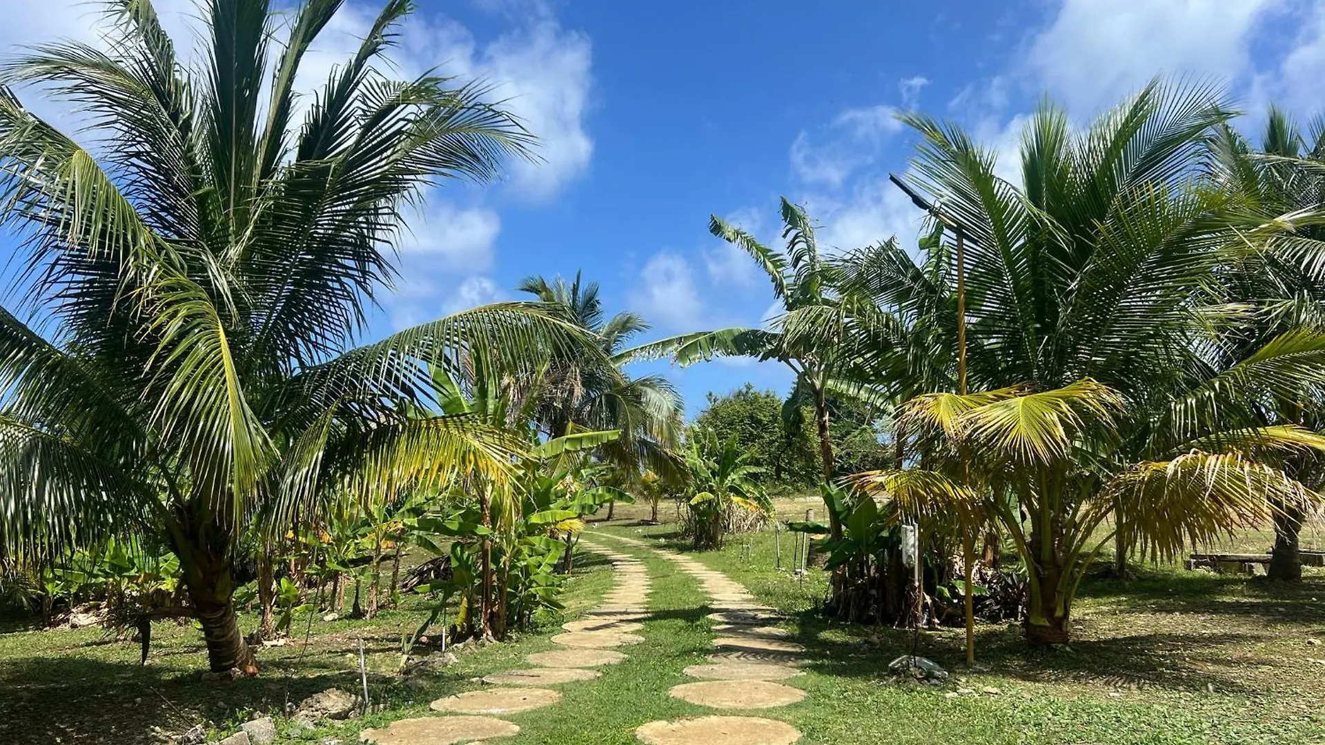 The Sea Cliff Hotel Resort & Spa Port Antonio Jamaïque