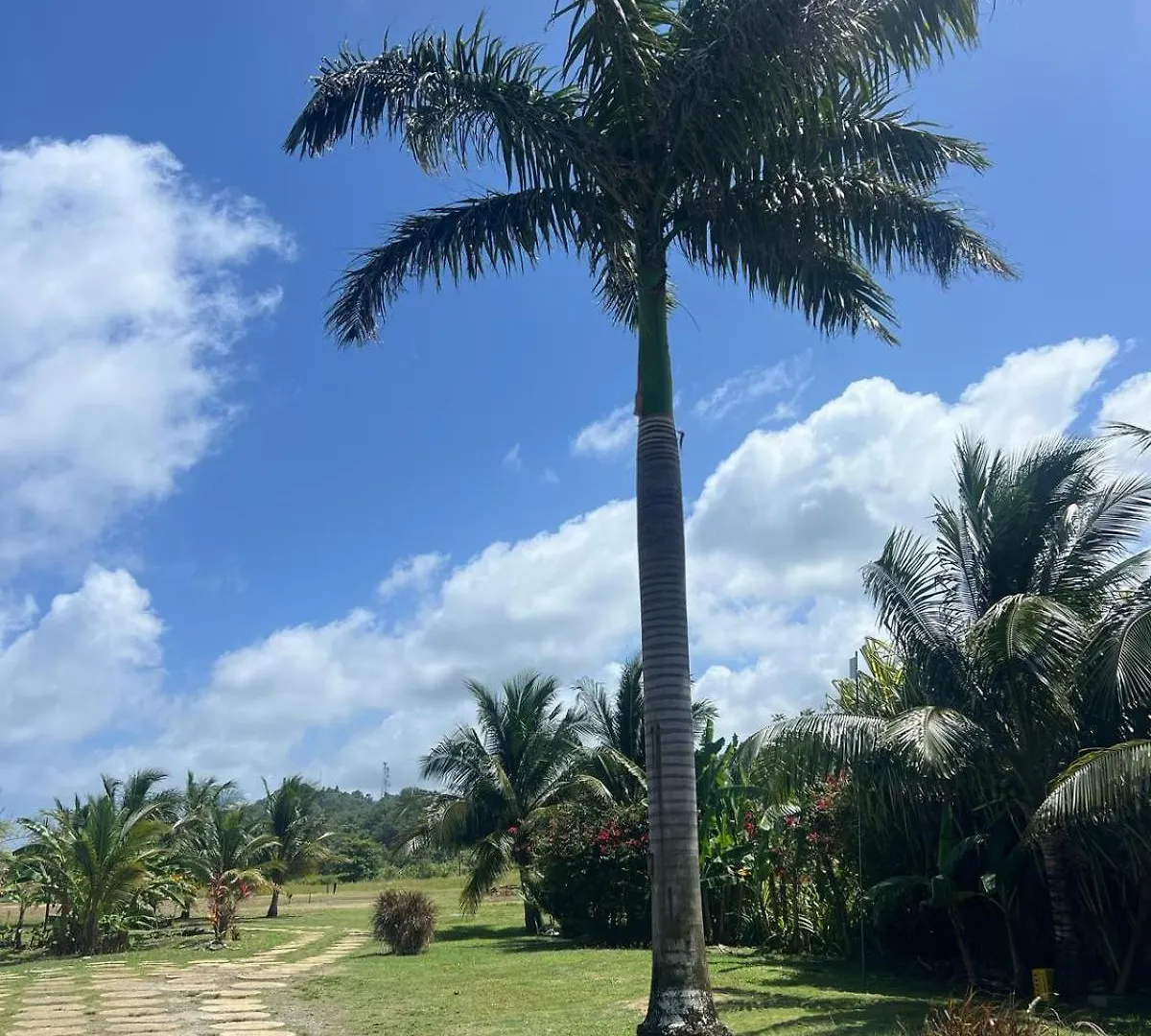 The Sea Cliff Hotel Resort & Spa Port Antonio 4*,